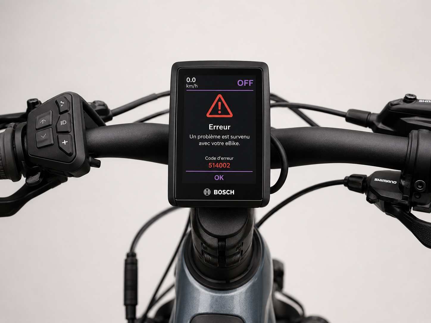 Vélo électrique équipé Bosch eBike Systems affichant un code erreur (Intuvia, Kiox, Purion)